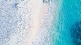 Thumbnail of post image 154