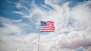 Thumbnail of post image 113