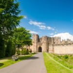 【Must-Read for Companies Considering Hiring British Nationals!】Key Points About Work Visas