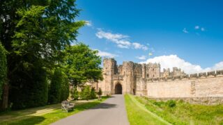 Thumbnail of post image 191