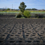 【農業分野の方必見！】特定技能で外国人を雇用する方法