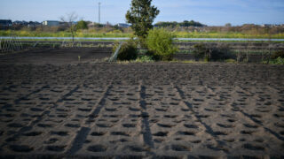 Thumbnail of post image 142