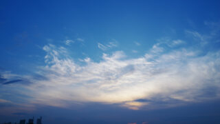 Thumbnail of post image 139